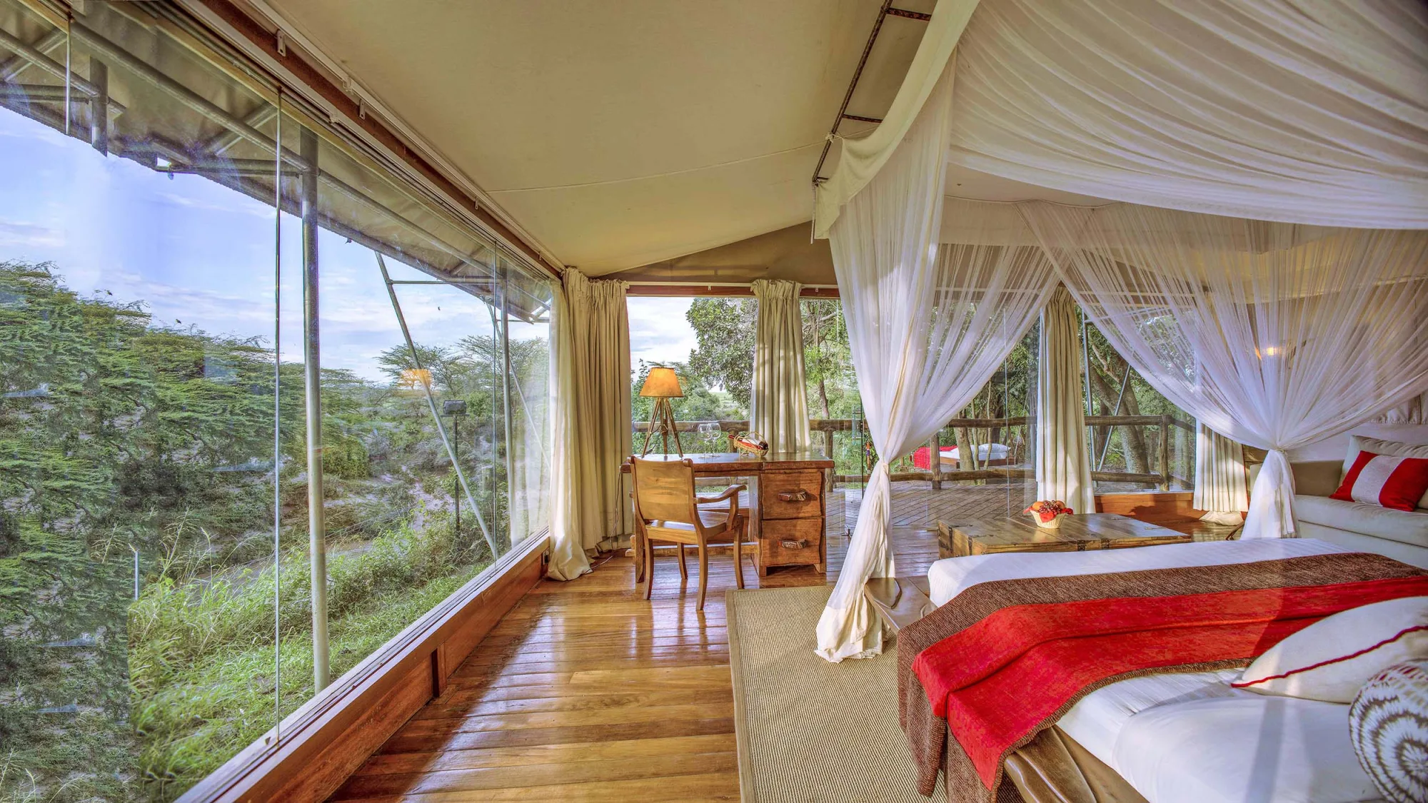 Panoramic safari room