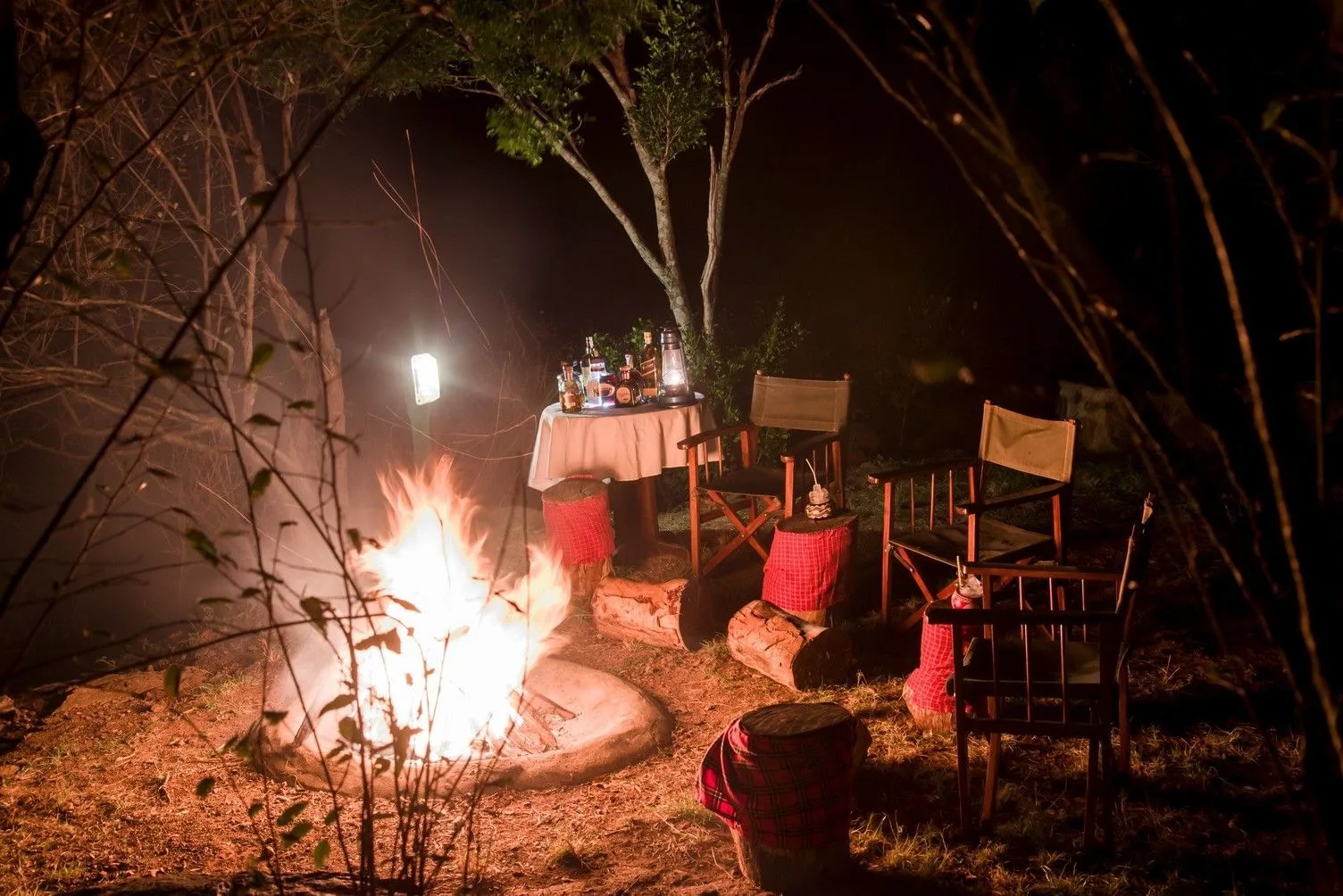 Campfire bush dining