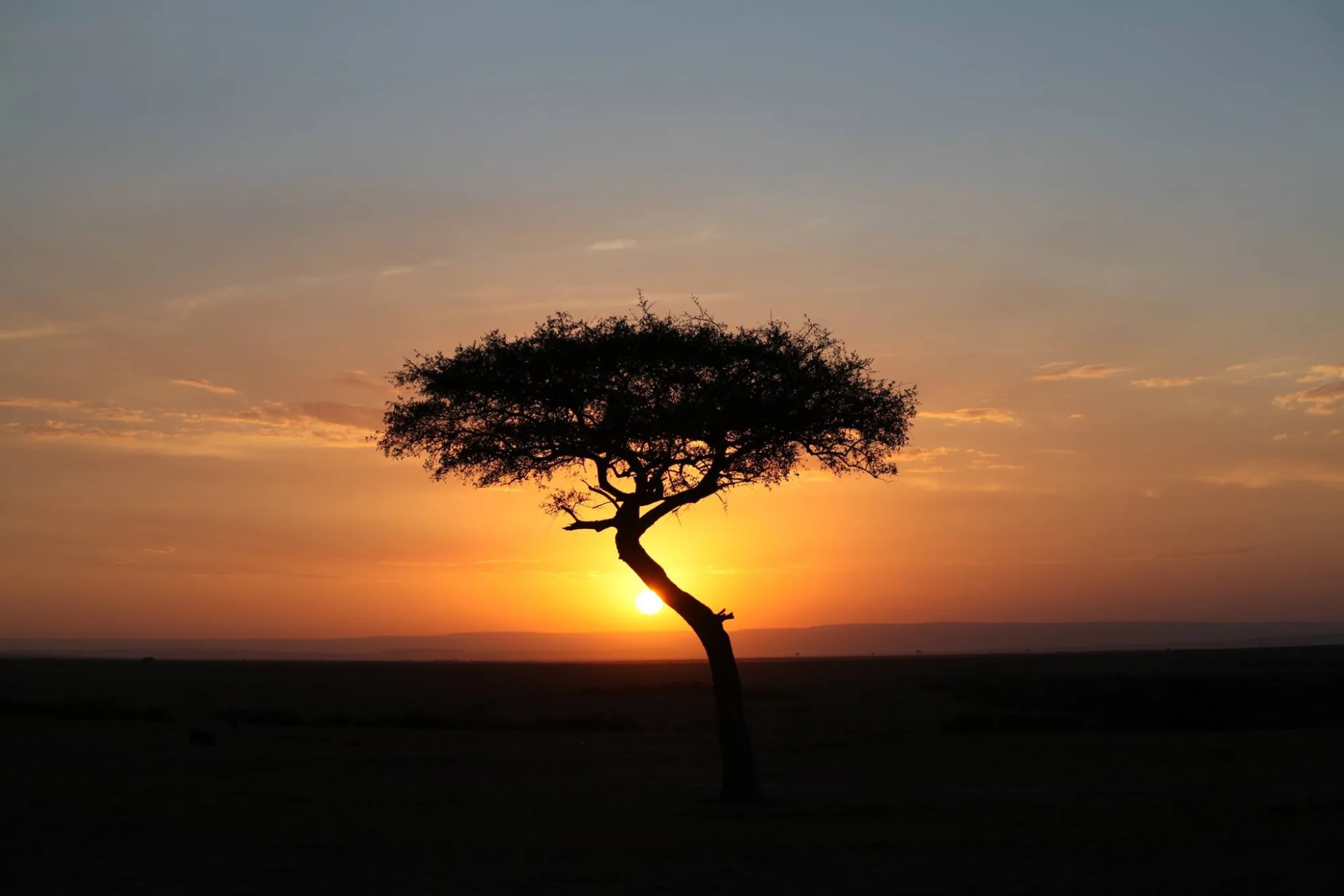 Maasai Mara sunset