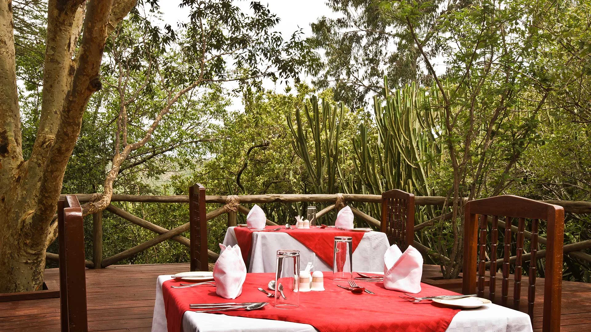 Al fresco dining on the lodge's timber deck, framed by acacia and candelabra euphorbia.