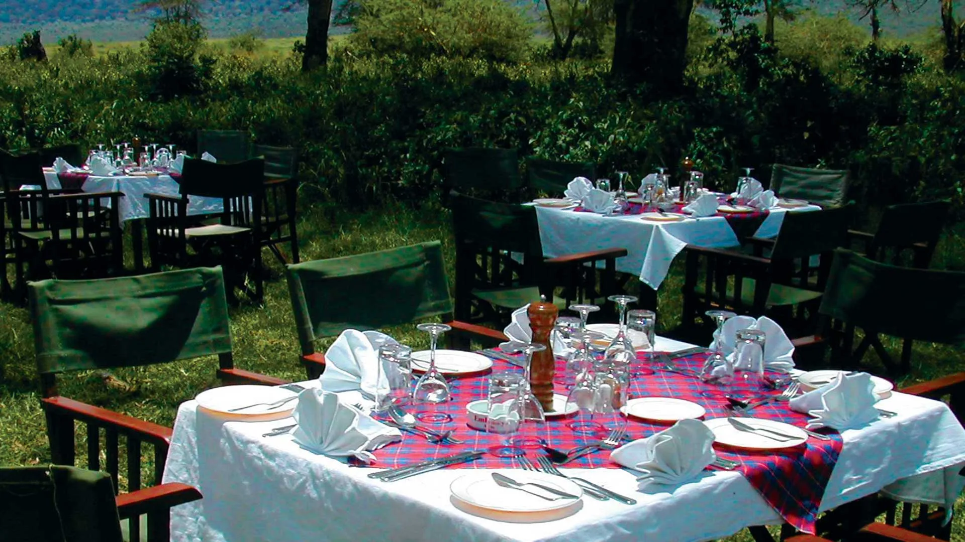 A signature bush lunch, laid out under acacia trees on the reserve.