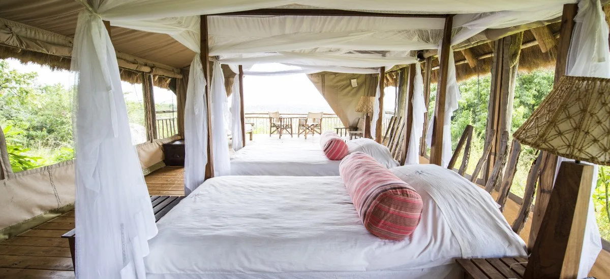 Spacious tented suites open onto private decks with uninterrupted views of the park.