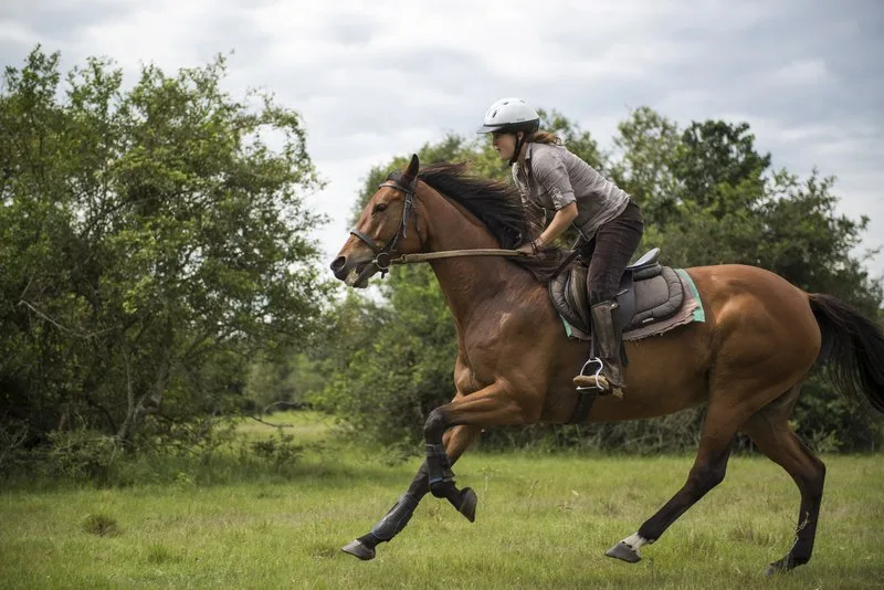 Mihingo is known for its horseback safaris through Lake Mburo's zebra- and impala-filled plains.