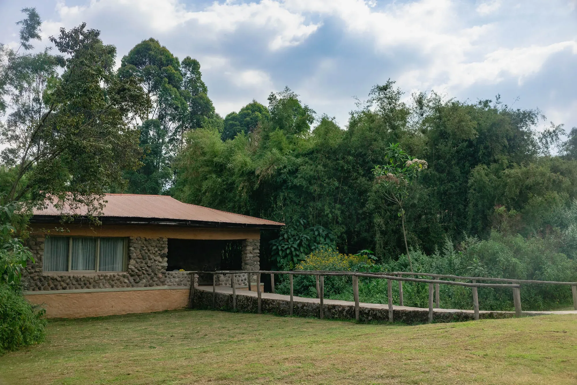 A timber boardwalk winds through bamboo forest toward one of the guest cottages.
