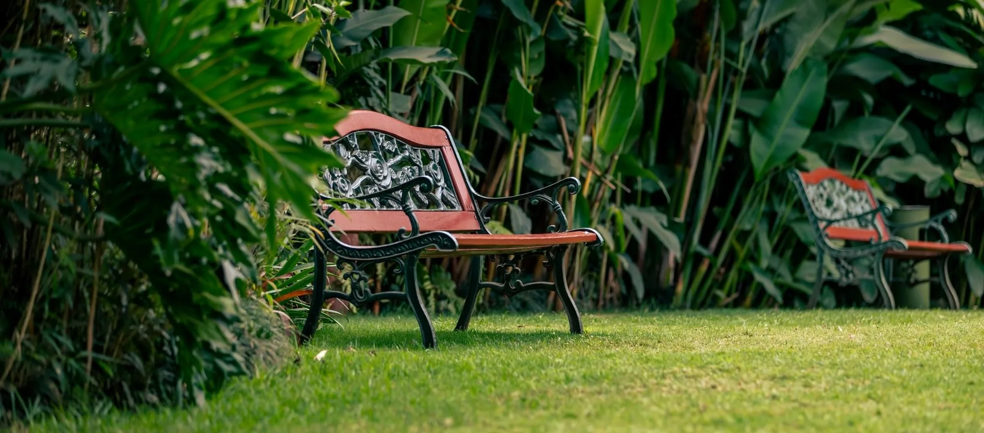 Tropical hotel gardens