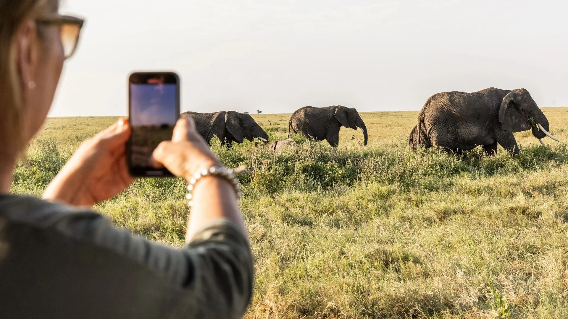 Eastern Serengeti game drive