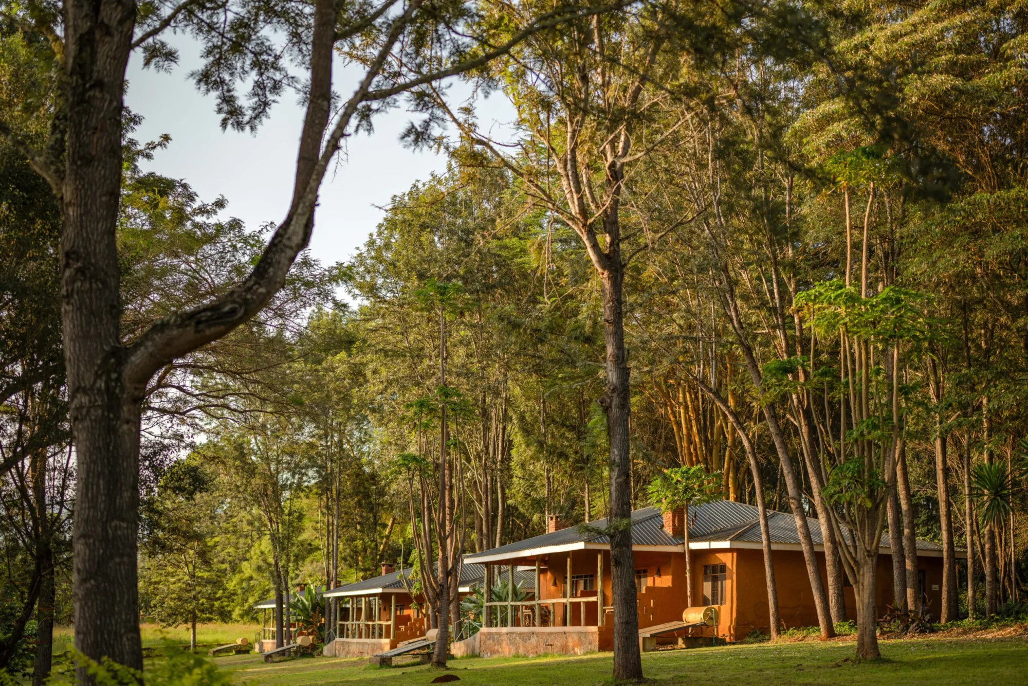 Guest cottages are scattered through indigenous forest on the lodge's 500-acre coffee estate.