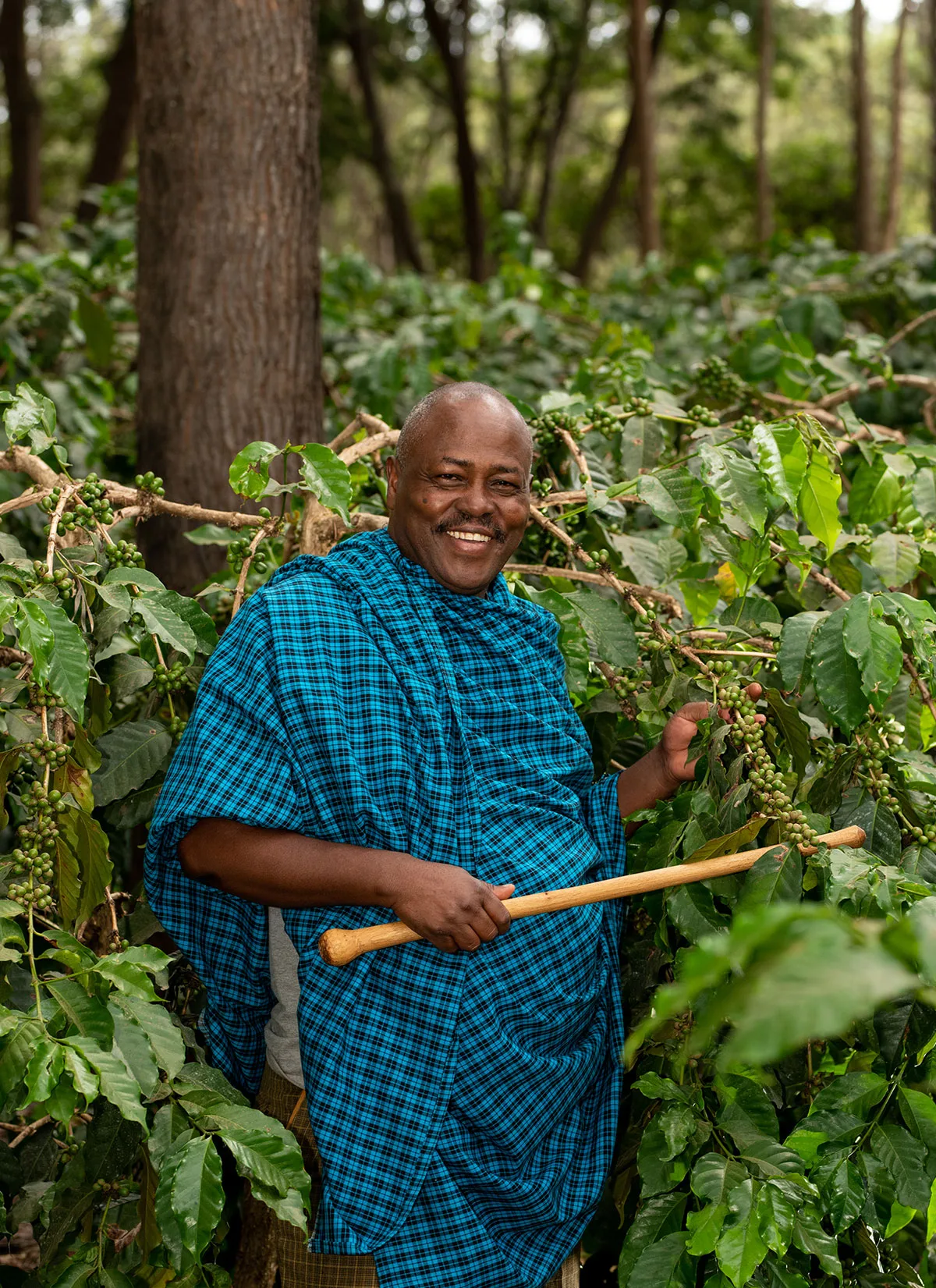 Guided walks through the working coffee plantation, ending in a bean-roasting demonstration, are a signature Farmhouse experience.