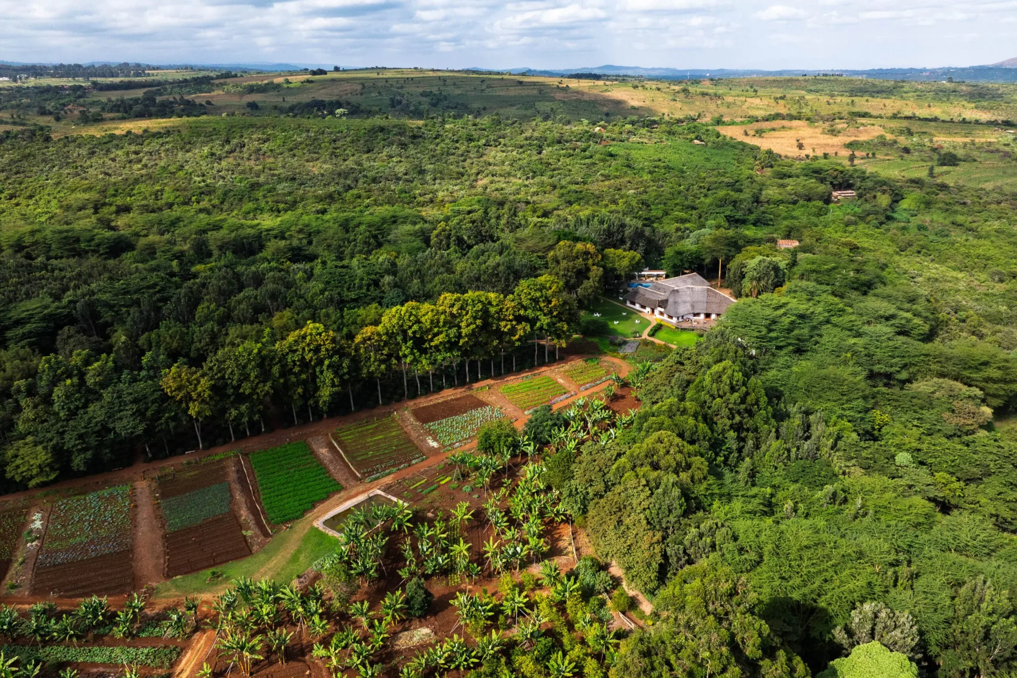 Ngorongoro Farmhouse Lodge