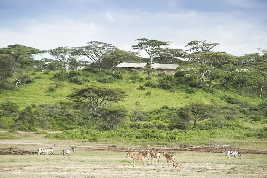 Seasonal migration camp