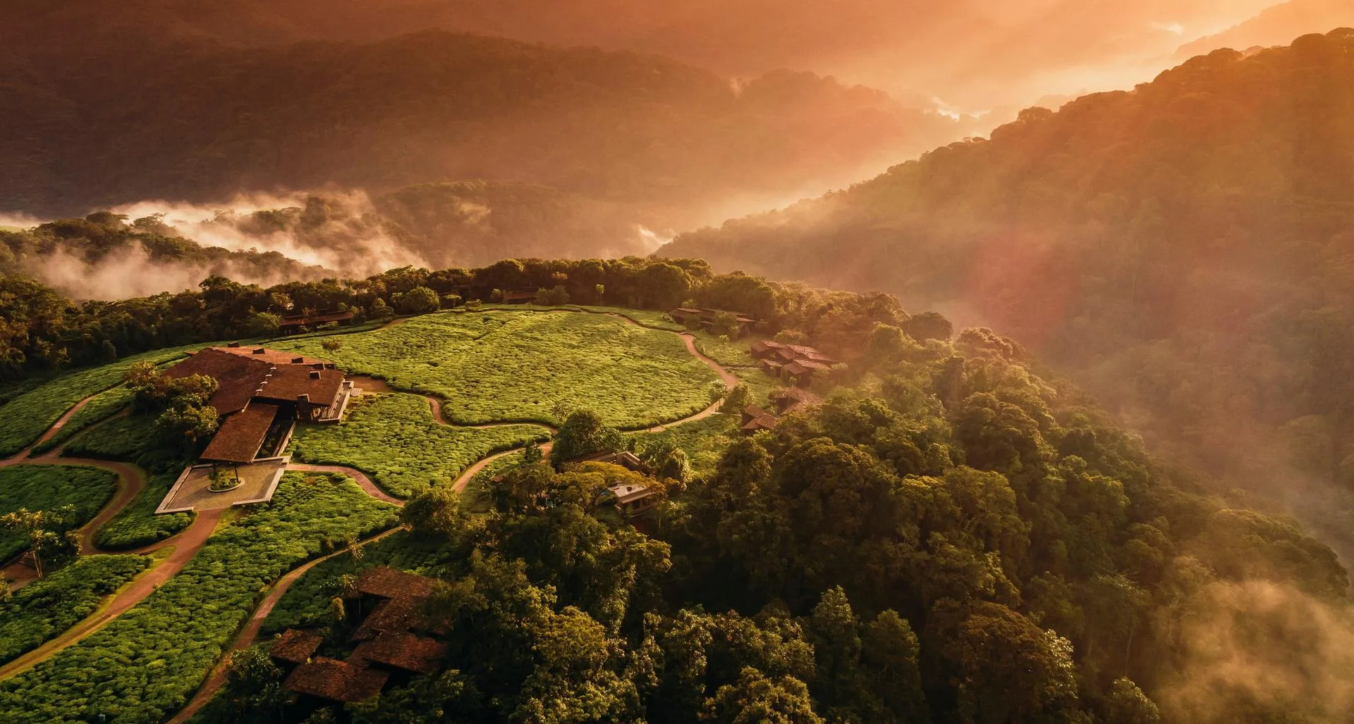 The resort's suites rise from a working tea plantation on the edge of Nyungwe Forest.