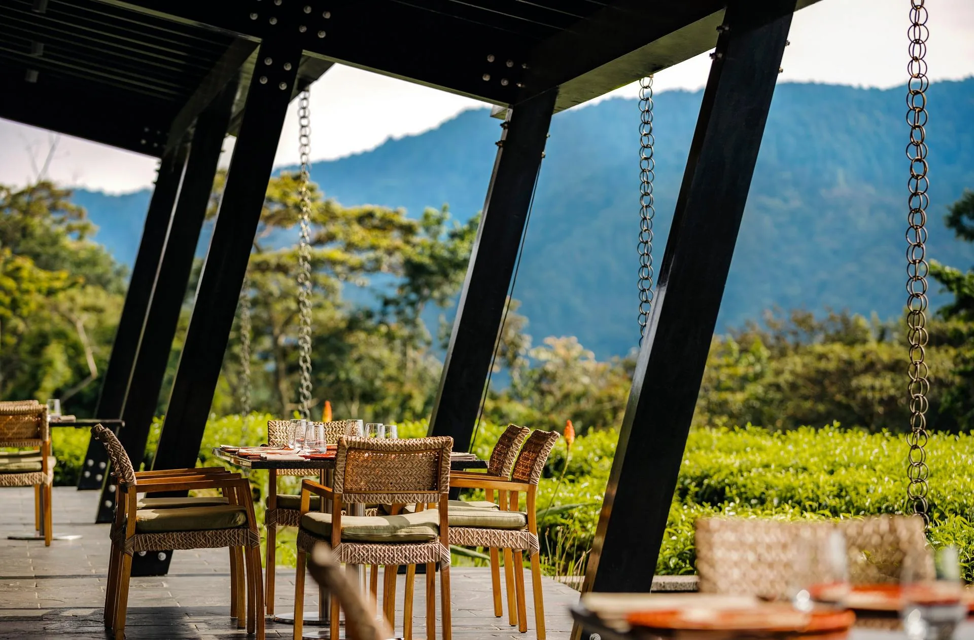 Garden-to-table dining on the resort's forest-view terrace.