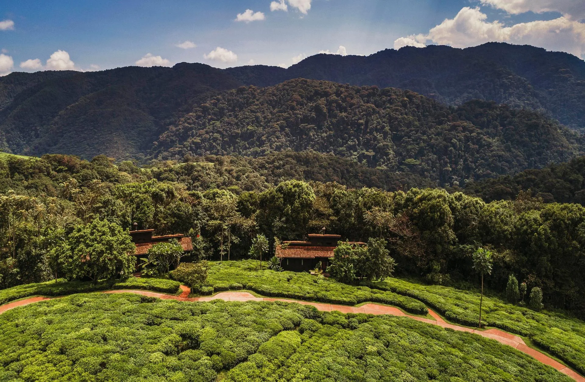 Nyungwe House