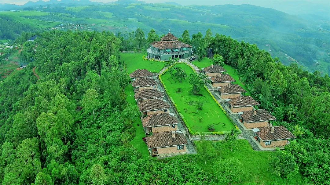 Nyungwe Top Hill