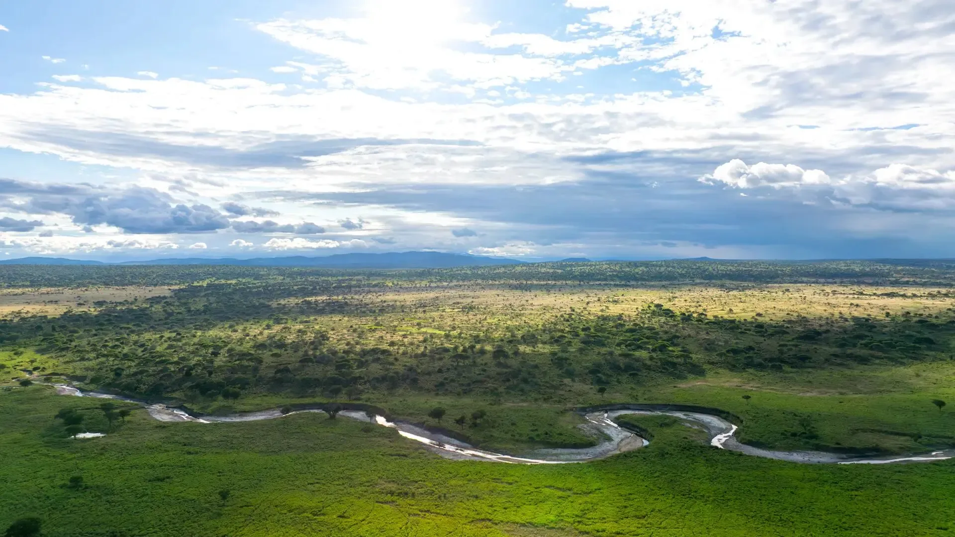 The vast Tarangire plains and river that surround the camp.