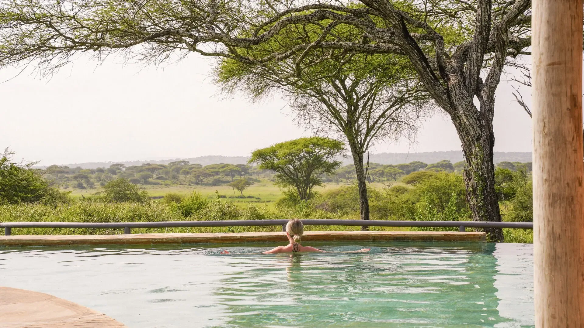 The camp's infinity pool, a refreshing spot to watch the plains below.