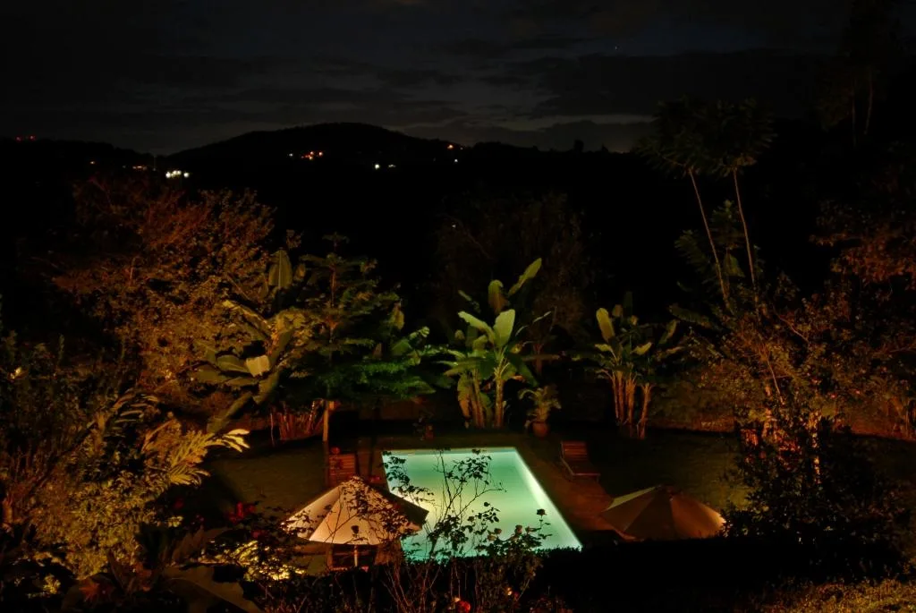 Floodlit garden pool