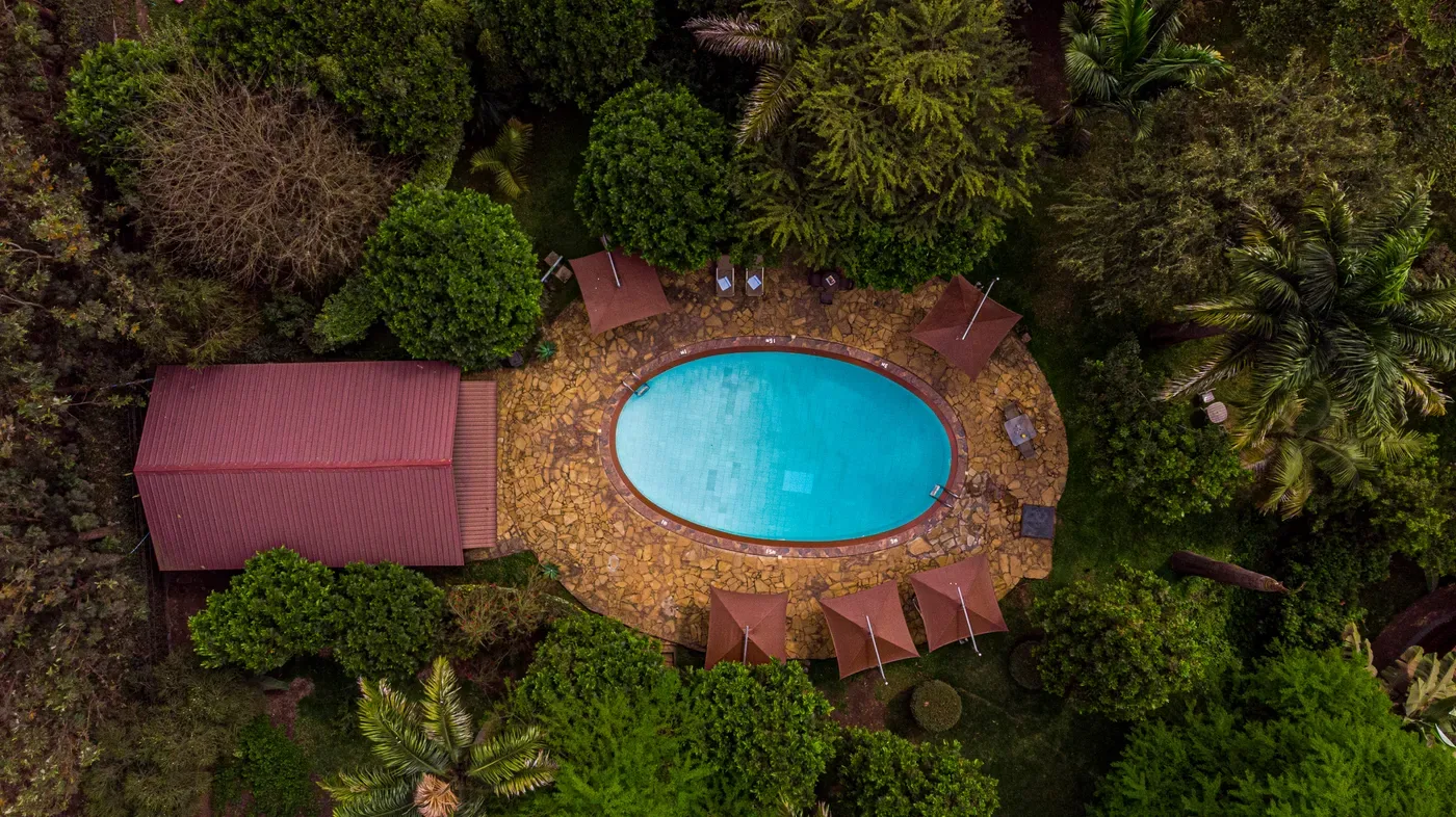 Garden pool viewed from above