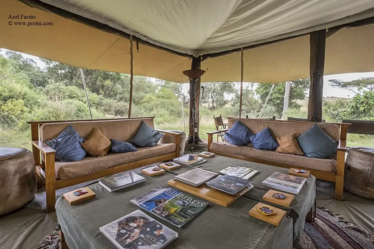 Camp lounge