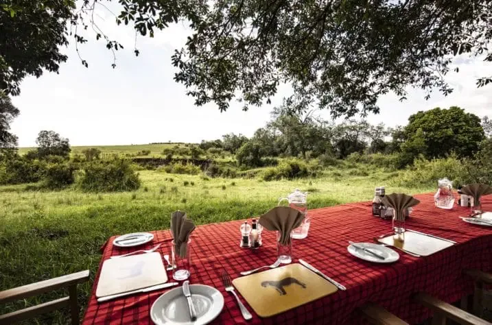 Bush breakfast setting