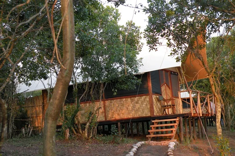 One of the lodge's raised, self-contained bandas at last light