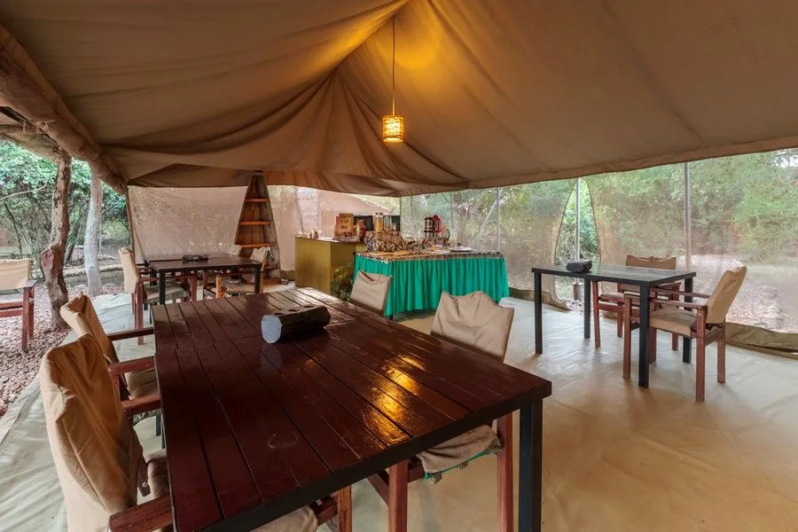 The lodge's bush restaurant tent, set among indigenous trees