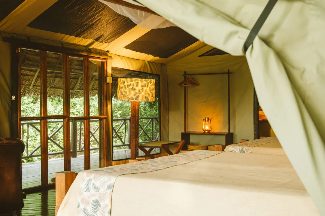 Raised tents open straight onto the riverine forest, mosquito nets included.