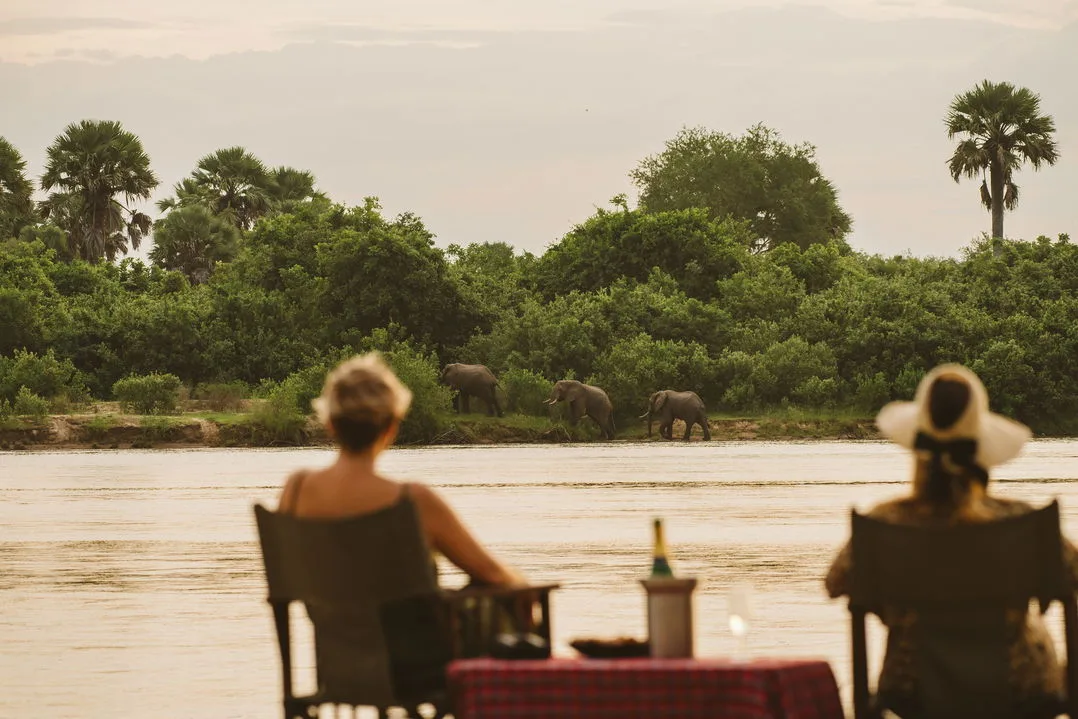 Front-row seats to elephants drinking on the opposite riverbank.