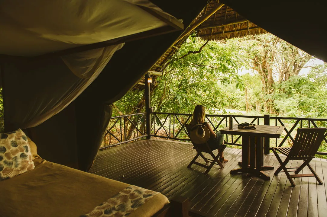 Quiet afternoons on the veranda, with the bush close enough to touch.