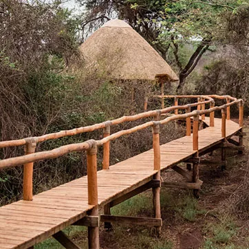 Raised lodge boardwalk