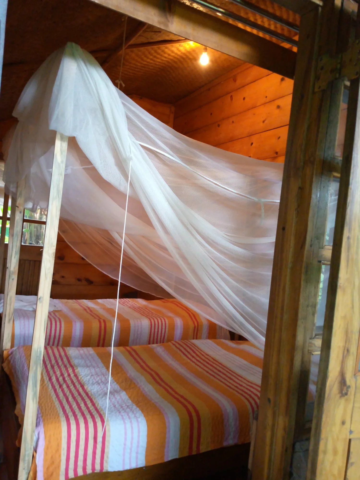 Wood-panelled guest room