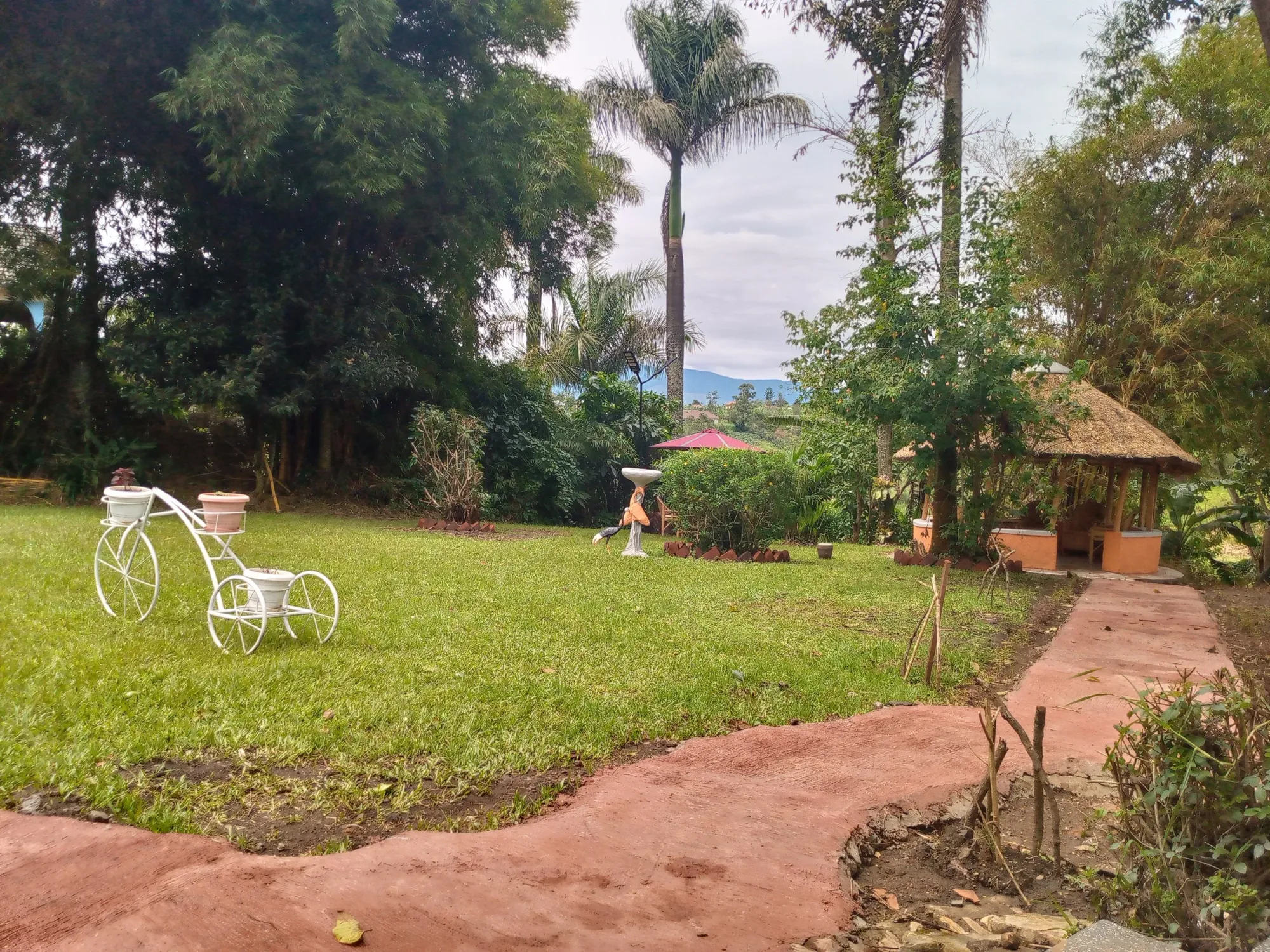 Guesthouse garden