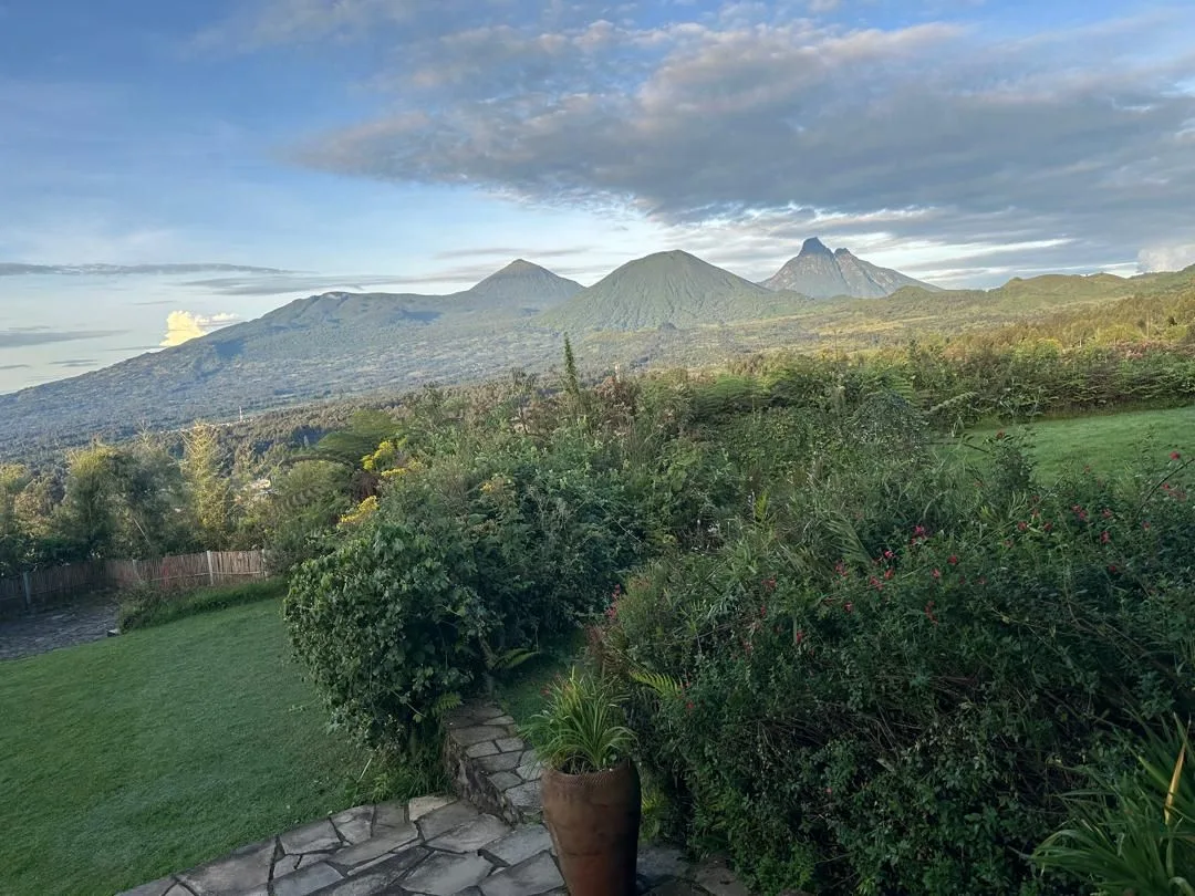 The sweeping panorama of the Virunga volcanoes as seen from the lodge grounds.