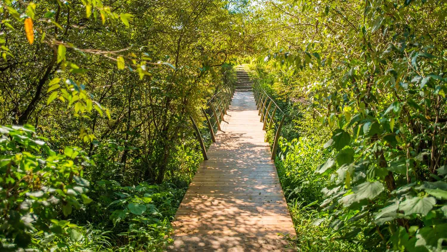 Shaded footbridge connecting the tents
