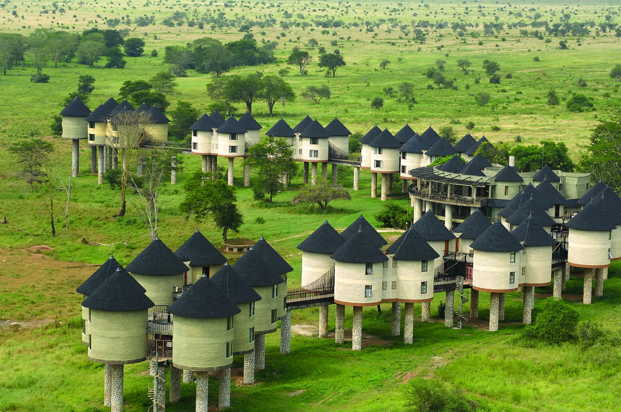 Salt Lick Lodge
