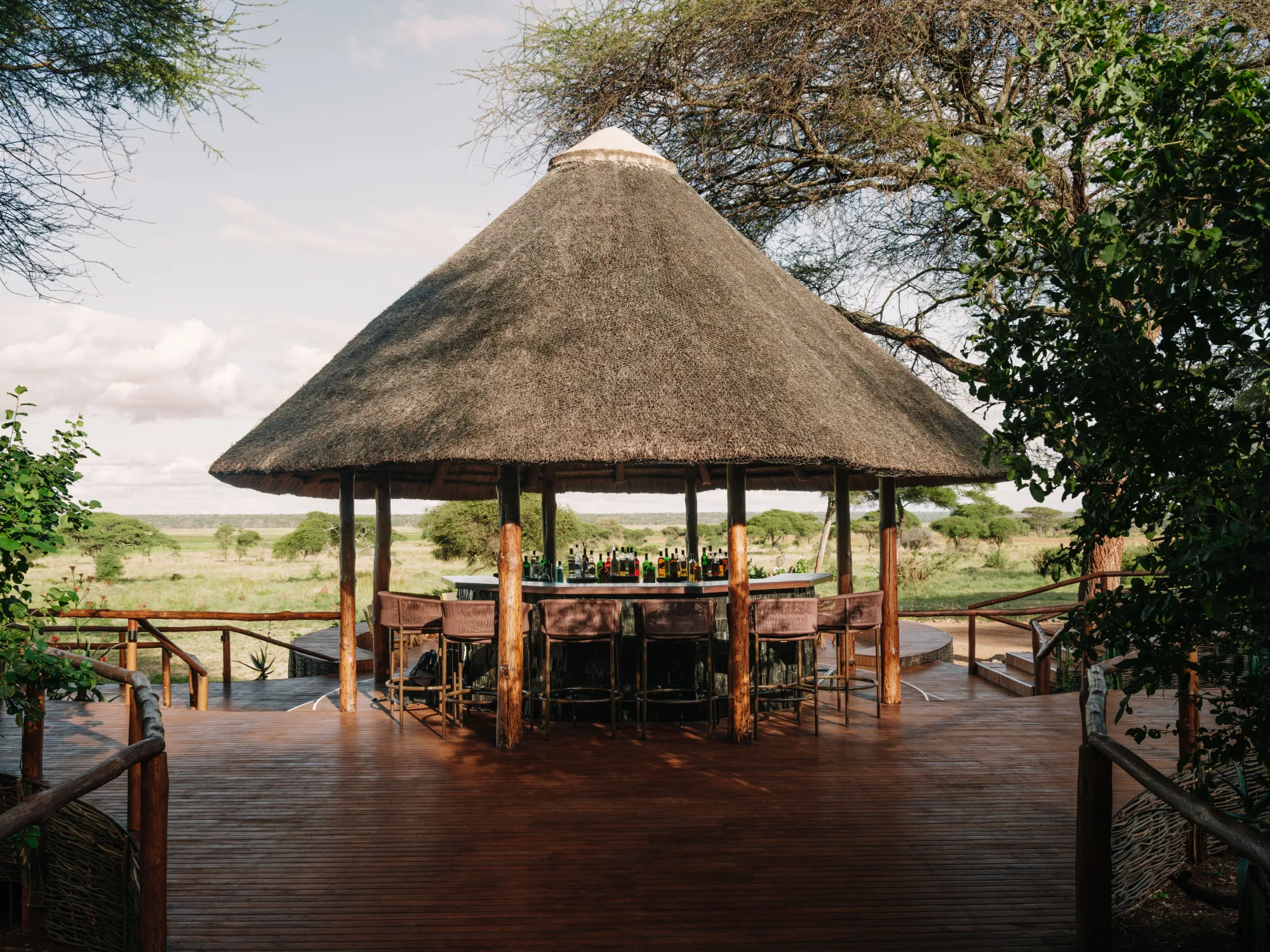 Thatched bar with savannah views