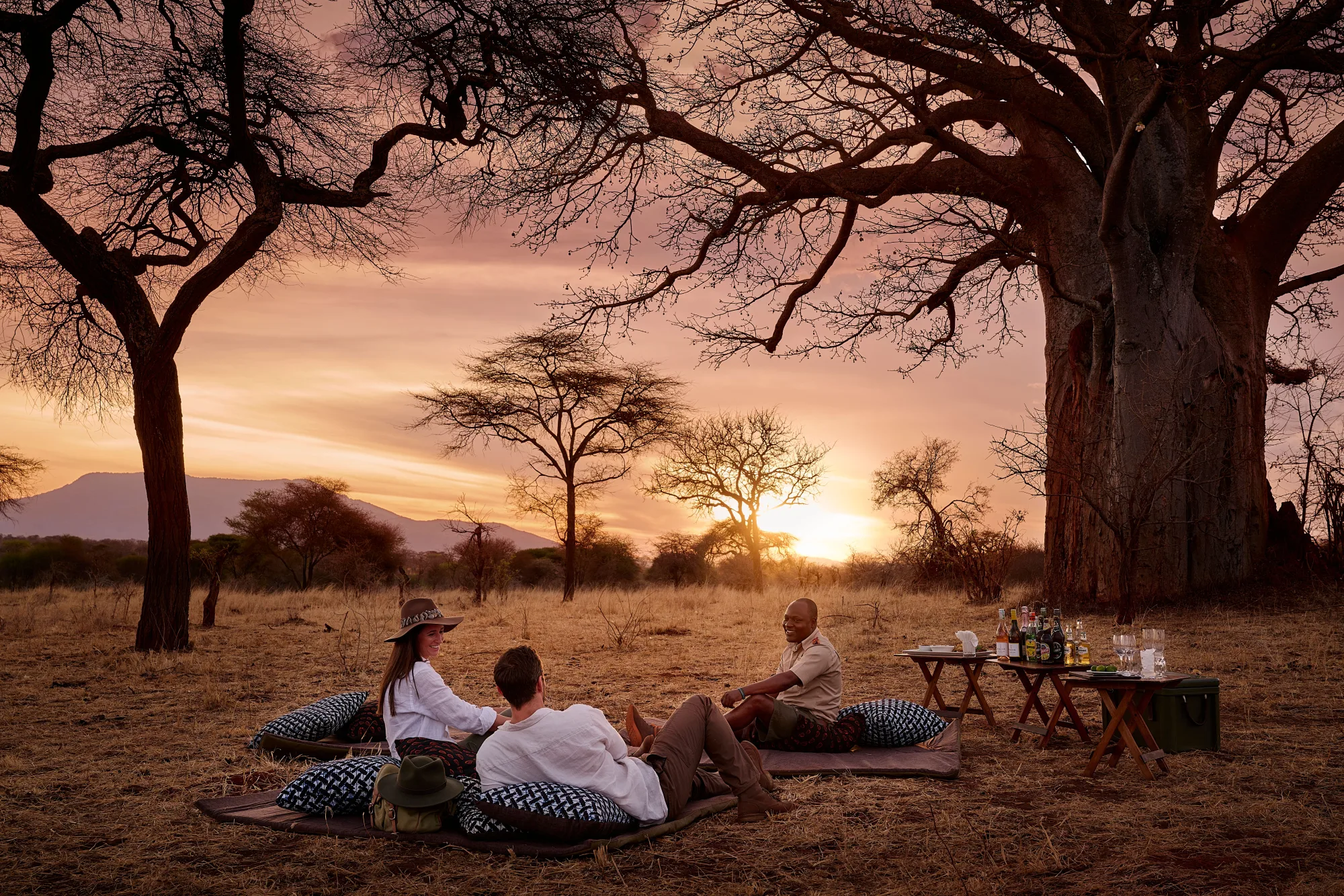 Sundowners beneath baobabs