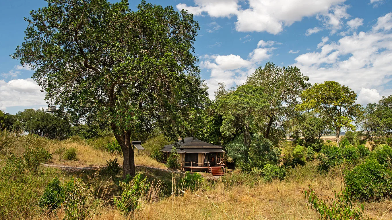 Each of the 16 tents sits privately among the trees along the Sand River.