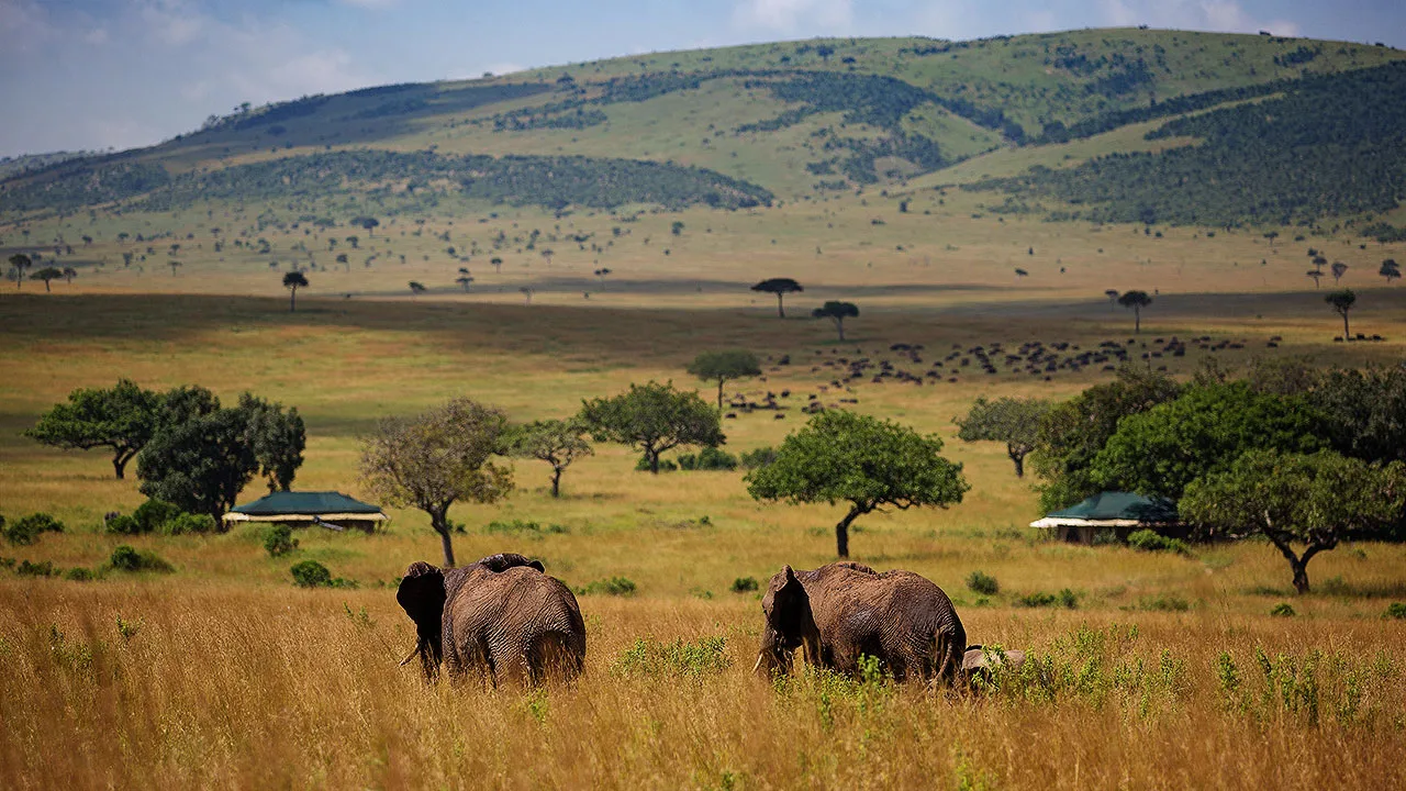 Sand River Masai Mara