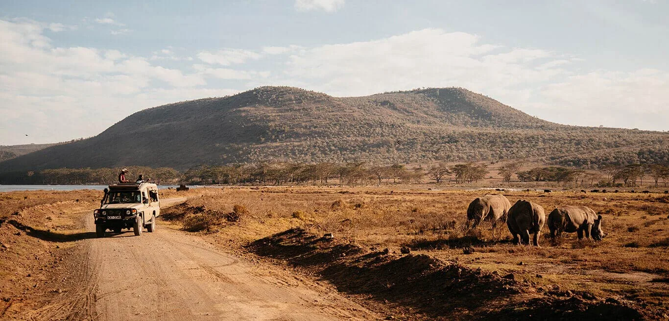 White rhino sightings on a game drive beneath Lion Hill, for which the lodge is named.