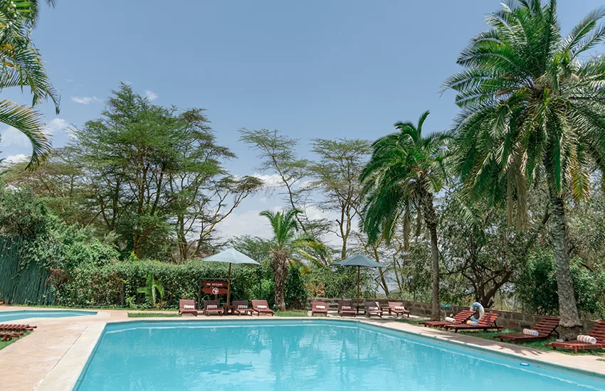 The solar-heated pool, set among palms and acacia trees.