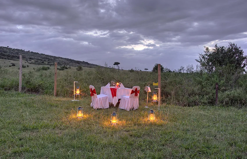 Lantern-lit bush dining