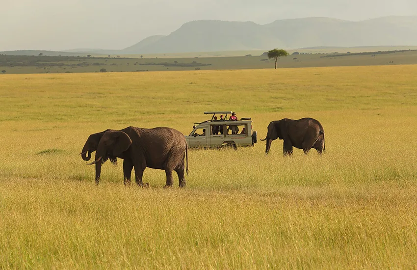 Sarova Mara