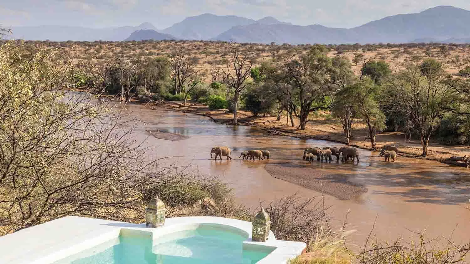 Elephants crossing below the lodge