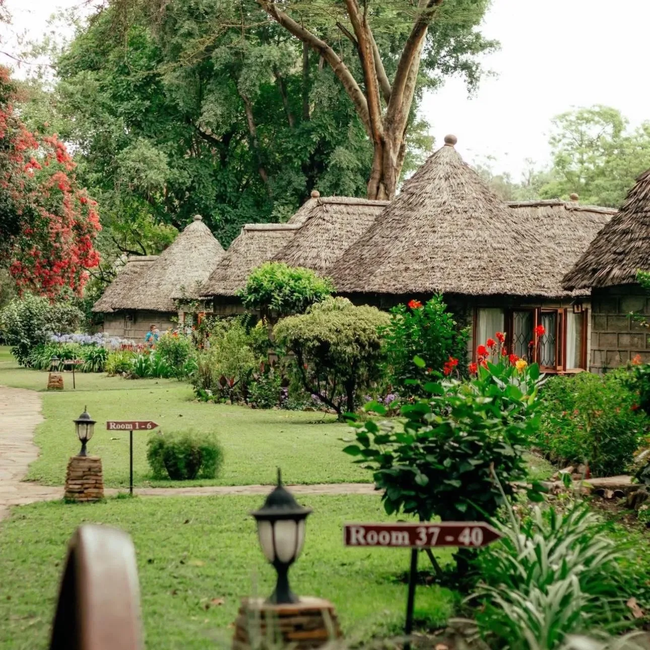 Garden cottage accommodation