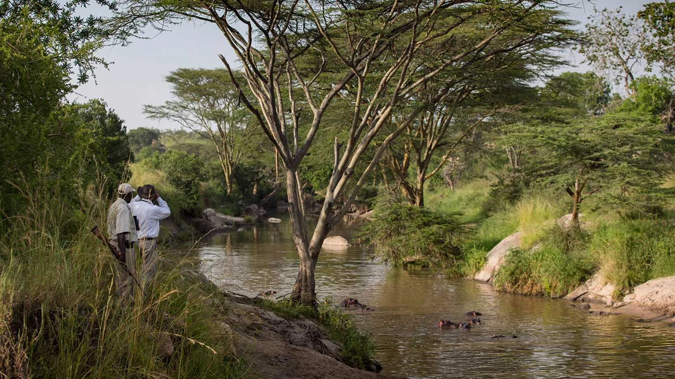 Guided Grumeti River walk