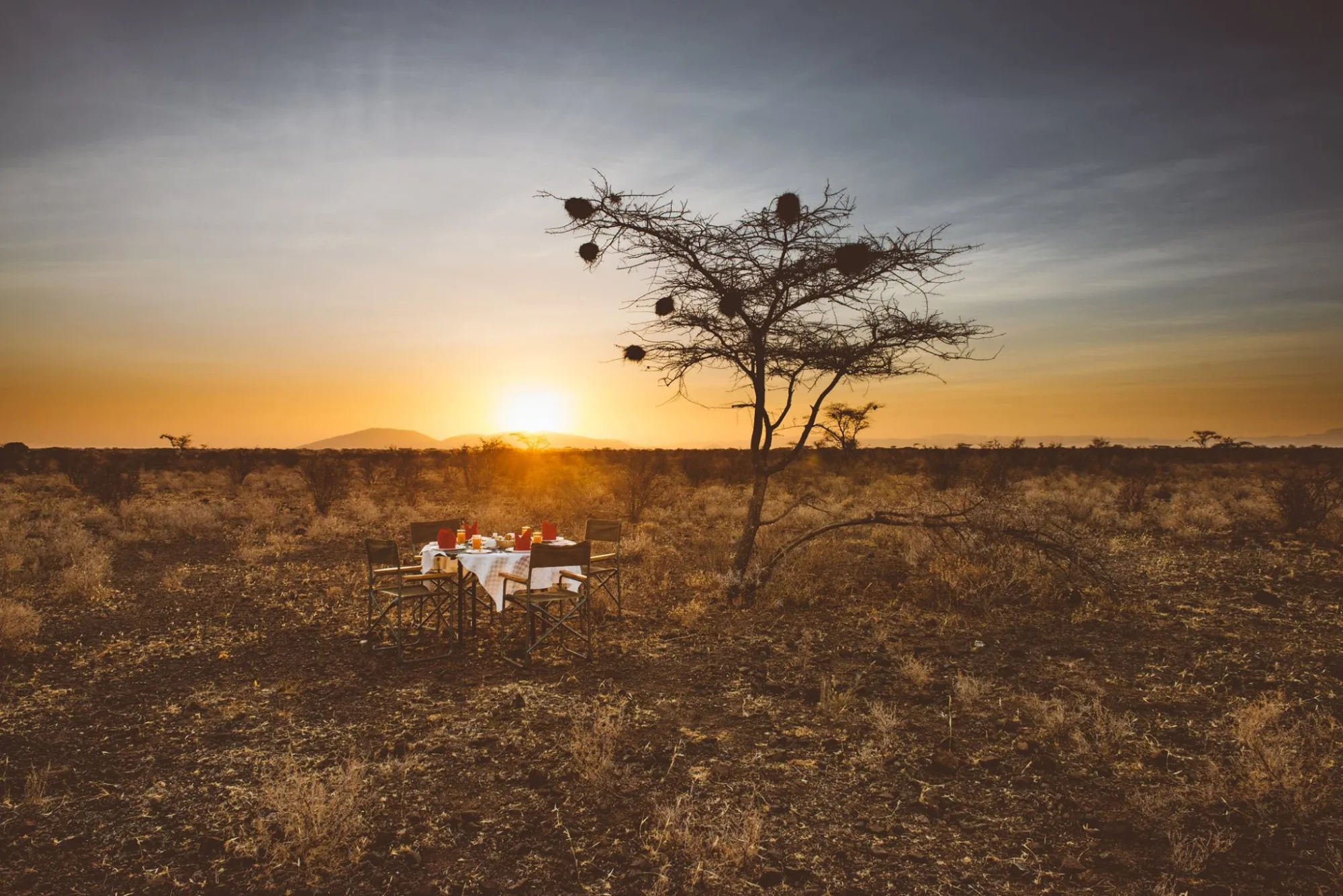 Sunrise bush breakfast