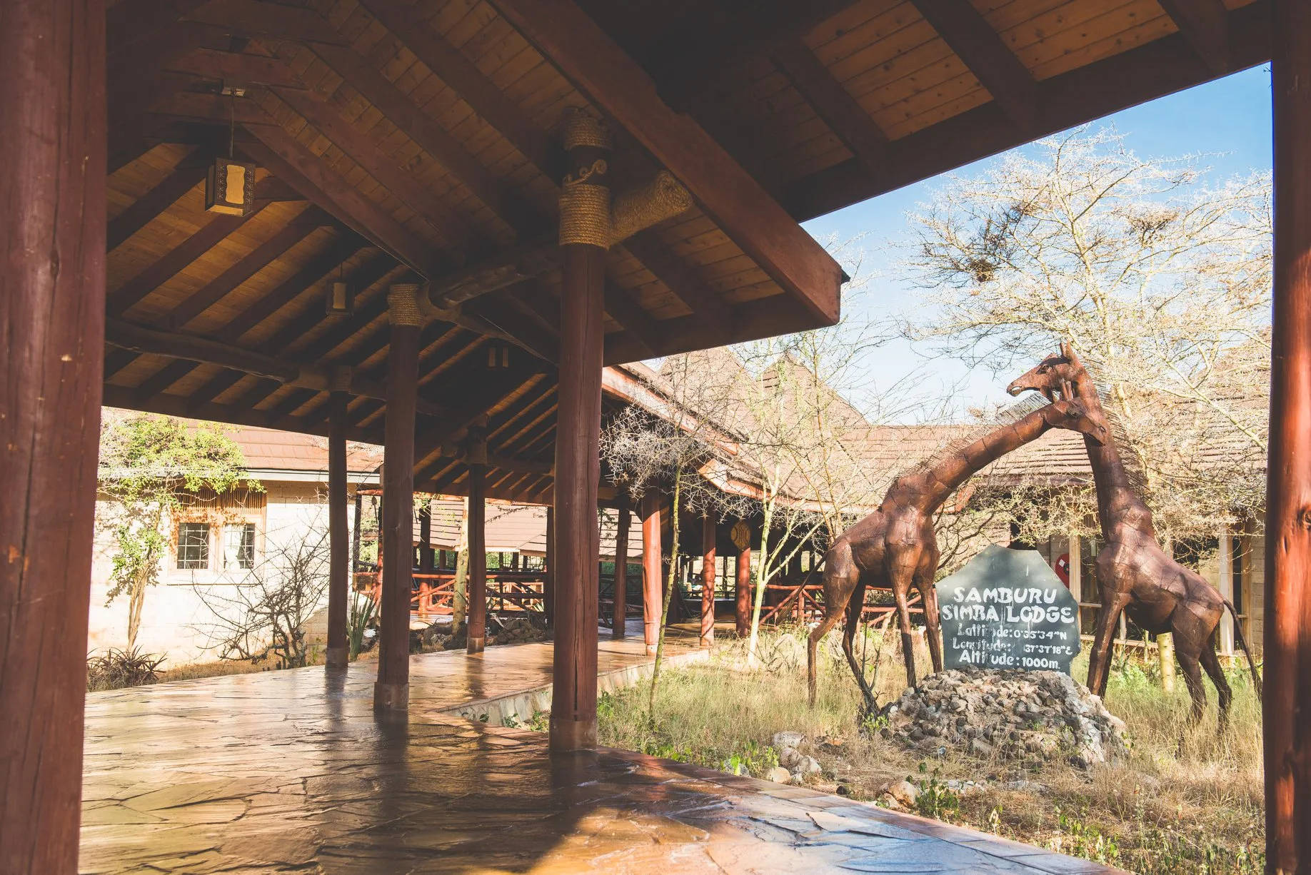 Simba Lodge
