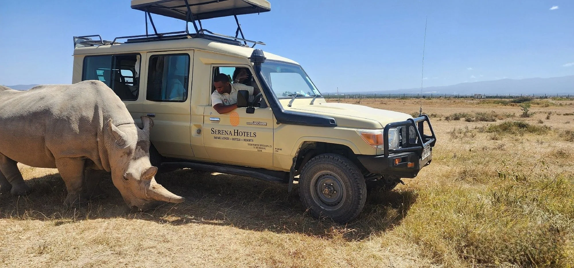 Ol Pejeta rhino drive