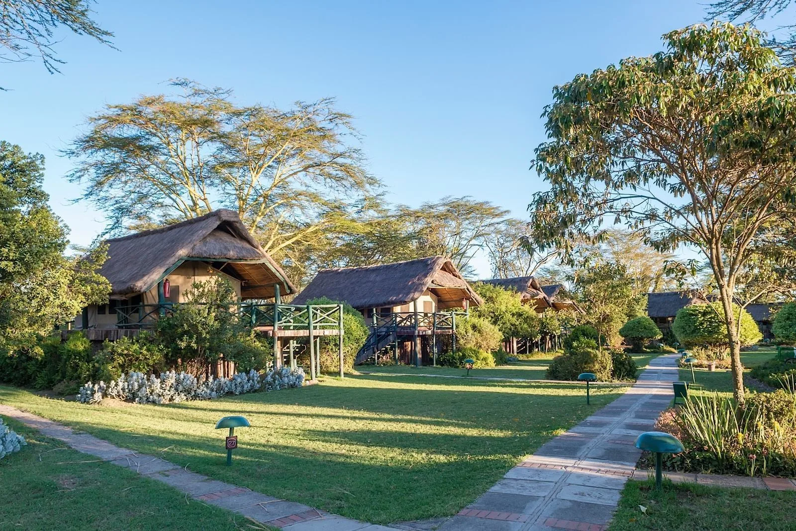 Camp tents and gardens